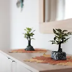 Apartamento Teresa *